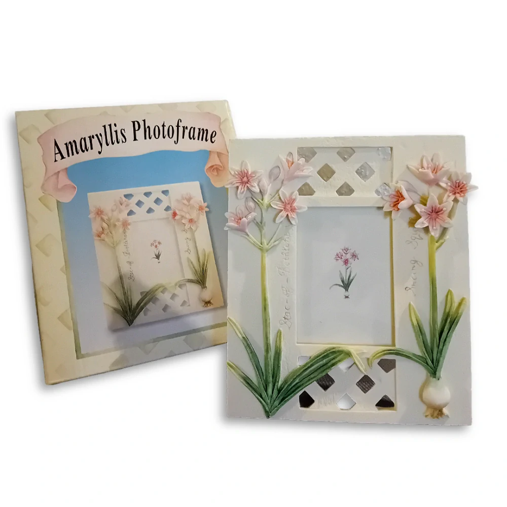 Fotorámeček Amaryllis