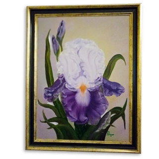 Obraz velký - Iris