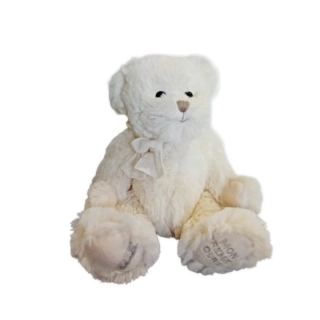 Mon Premier Ours